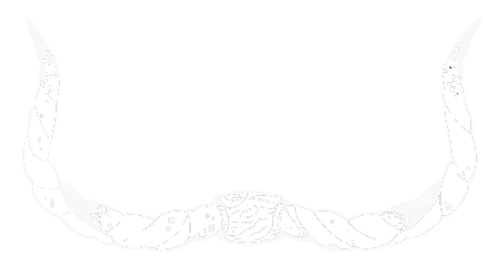 Oxblood Ink