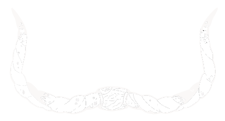 Oxblood Ink